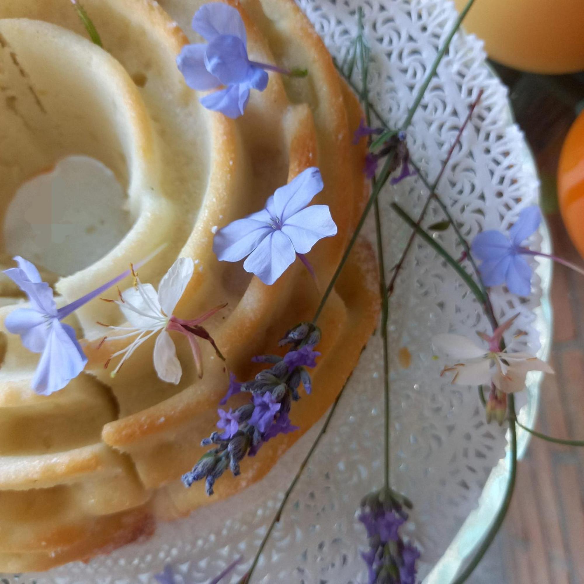 Bed and Breakfast Aura Relais Numana Zewnętrze zdjęcie